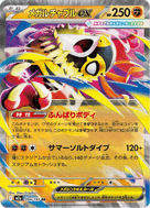 Mega Hawlucha ex