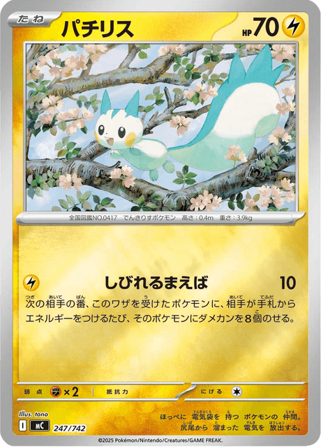 Pachirisu 247/742 Start Deck 100 Battle Collection