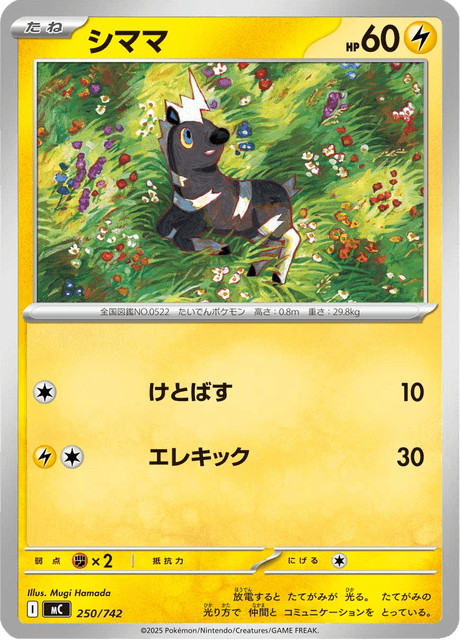 Blitzle 250/742 Start Deck 100 Battle Collection