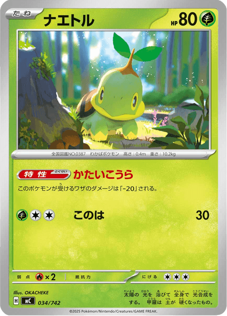 Turtwig 034/742 Start Deck 100 Battle Collection