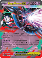 Mega Floette ex