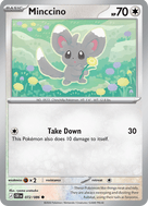 Minccino