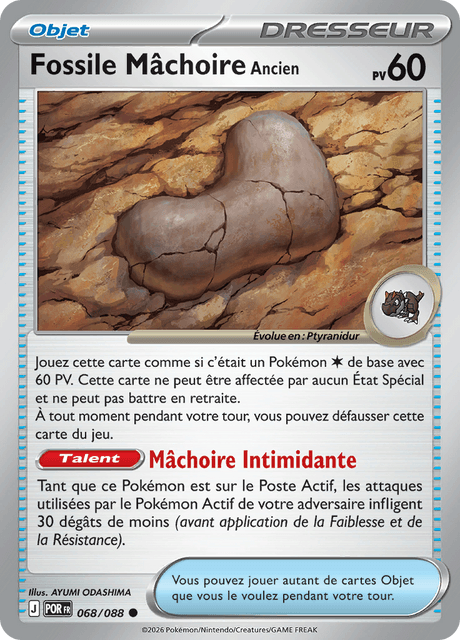 Fossile Mâchoire Ancien